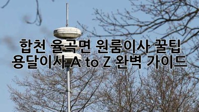 합천 율곡면 원룸이사 꿀팁🍯 용달이사 A to Z 완벽 가이드